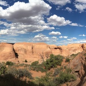 Meet your Posher, Jelom daniel